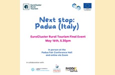 Project Final Conference