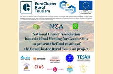 Final meeting for Czech SMEs - Presentation of final results