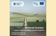 Third transnational webinar: “How to give continuity to your projects?”